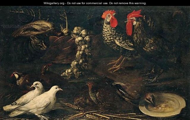 Still Life Of Cockerels, White Doves, A Jay, Grey And Red-Legged Partridge And A Cat, Together With A Wicker Basket Of Garlic - (after) Jacomo (or Victor, Jacobus) Victors