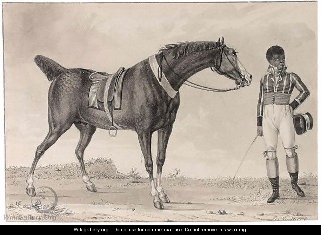 A Horse And His Creole Jockey - Reinier Vinkeles