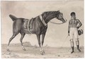 A Horse And His Creole Jockey - Reinier Vinkeles