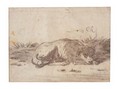 Study Of A Sleeping Dog - Cornelis Saftleven