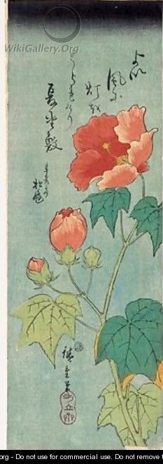 Fuyo. Hibiscus En Fleurs - Utagawa or Ando Hiroshige