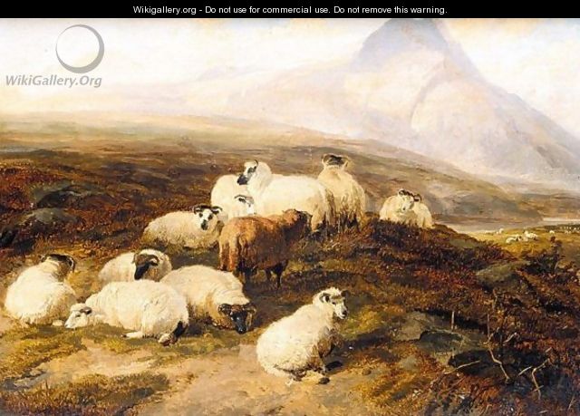 Highland Scene With Sheep And A Highland Cow - Thomas Sidney Cooper