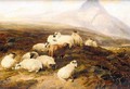 Highland Scene With Sheep And A Highland Cow - Thomas Sidney Cooper
