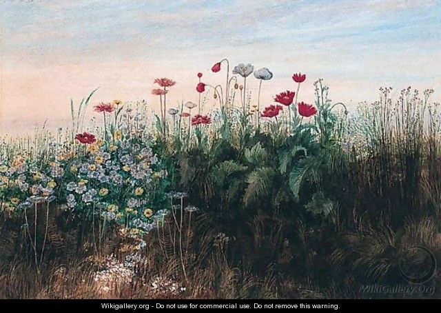 A Bank Of Wild Flowers - Andrew Nicholl