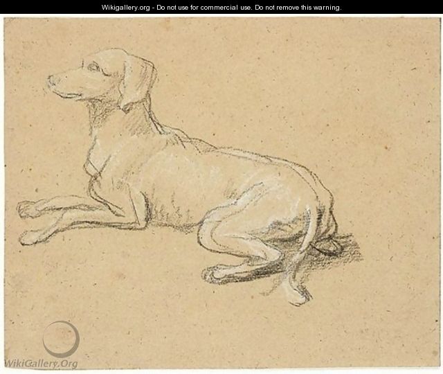 Study of a dog - Alexandre-Francois Desportes