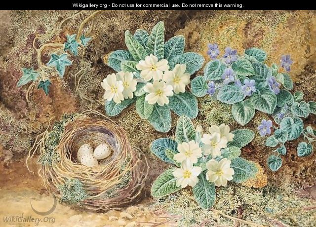 Still life of birds nest with primroses and ivy - Thomas Collier