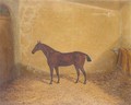 Bay hunter in a stable - James Senior Clark