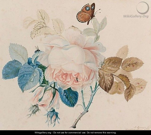 A Butterfly On A Rose - Johan Laurentz Jensen