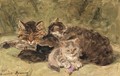 A Peaceful Moment - Henriette Ronner-Knip