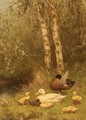 Duck With Ducklings On The Riverside - David Adolf Constant Artz