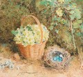 Primroses - William Henry Hunt