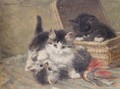 Three Kittens Playing, An Oil Sketch - Henriette Ronner-Knip