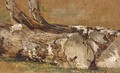 A Study Of Tree Trunks - Frederick Waters Watts