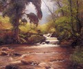 A Woodland Stream - Alexander Brownlie Docharty