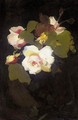 White Roses - James Stuart Park
