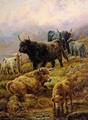 Highland Cattle 3 - Robert Watson