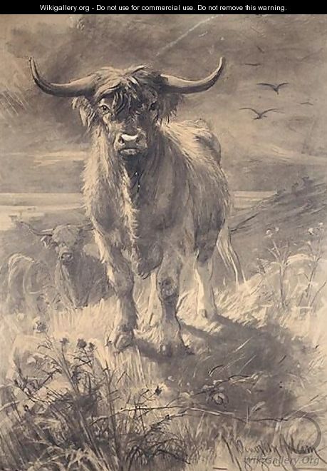 Highland Cattle - Joseph Denovan Adam