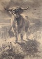 Highland Cattle - Joseph Denovan Adam