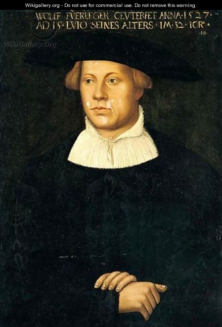 Portrait Of Wolff Fuerleger, Aged 32 - Hans Brosamer