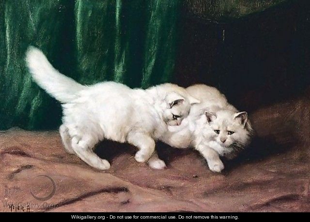 Two White Kittens - Arthur Heyer