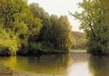 Tranquil Woodland Lake - Arseny Ivanovich Meschersky