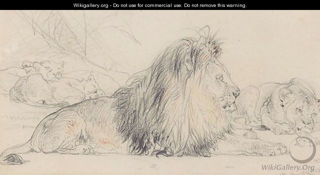 Study Of A Lion And His Pride - William Huggins