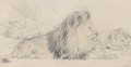 Study Of A Lion And His Pride - William Huggins