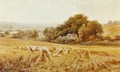 A Berkshire Cornfield - (after) John Horace Hooper