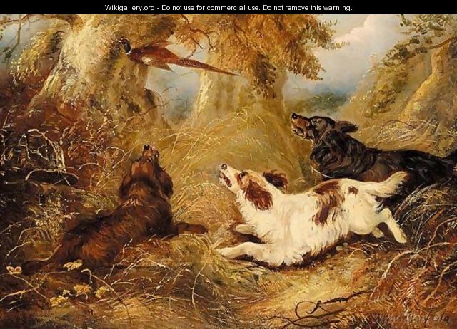 Spaniels And A Pheasant - George Armfield