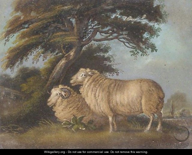 Two Sheep - Benjamin Zobel