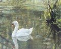 Mute Swan - Robert Bateman