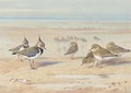Lapwing And Golden Plover On The Shore - Archibald Thorburn