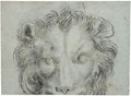 The Head Of A Lion - Annibale Carracci