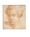 Portrait Of A Young Man - (after) Francesco De' Rossi (see Salviati, Cecchino Del)