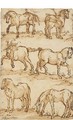 Six Studies Of Horses - Filippo Napoletano
