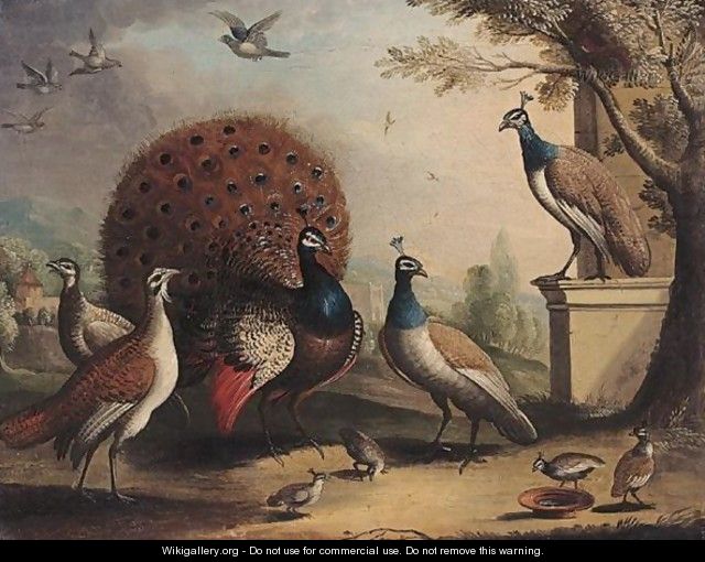 A Peacock And Peahens In An Ornamental Landscape - (after) Pieter Casteels III