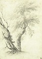 Study Of Two Trees - (after) Jean-Baptiste Pillement