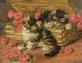 Playful Kittens 2 - Daniel Merlin