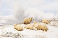 Sheep In A Snowy Landscape - Thomas Sidney Cooper