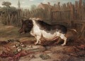 A Hog In A Yard - James Ward