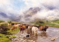 Fording Highland Cattle - Peter Graham