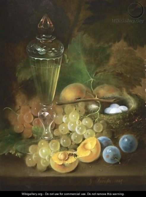 Still Life With Grapes And Nest - George Forster