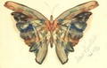 Butterfly 3 - Albert Bierstadt
