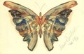 Butterfly 3 - Albert Bierstadt