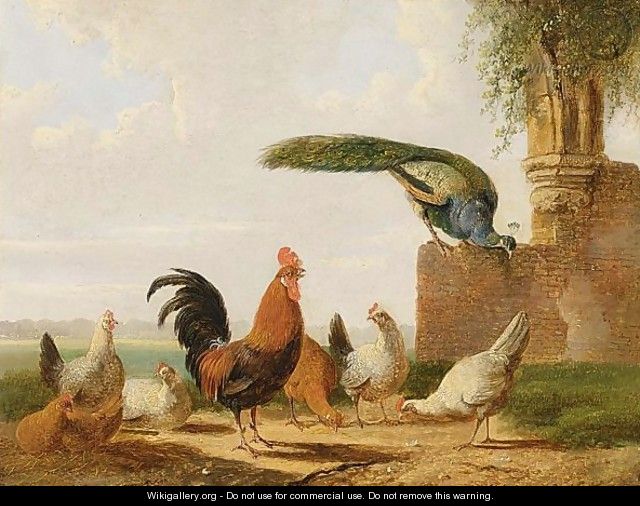 The Poultry Yard - Albertus Verhoesen