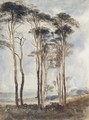 Scots Pines - Andrew Nicholl