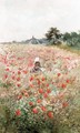 Poppy Field - Lucien Frank