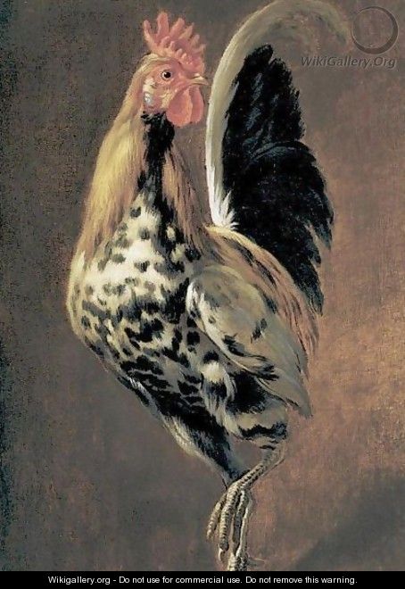 A Rooster - (after) Peeter Boel