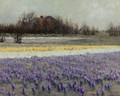 A Field Of Crocuses - George Hitchcock