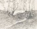 Chemin Borde D'Arbre - Henri-Joseph Harpignies